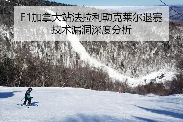jia-na-da-zhan-fa-la-li-lei-ke-lai-er-tui-sai-ji-shu-lou-dong-shen-du-fen-xi-1-712.jpg